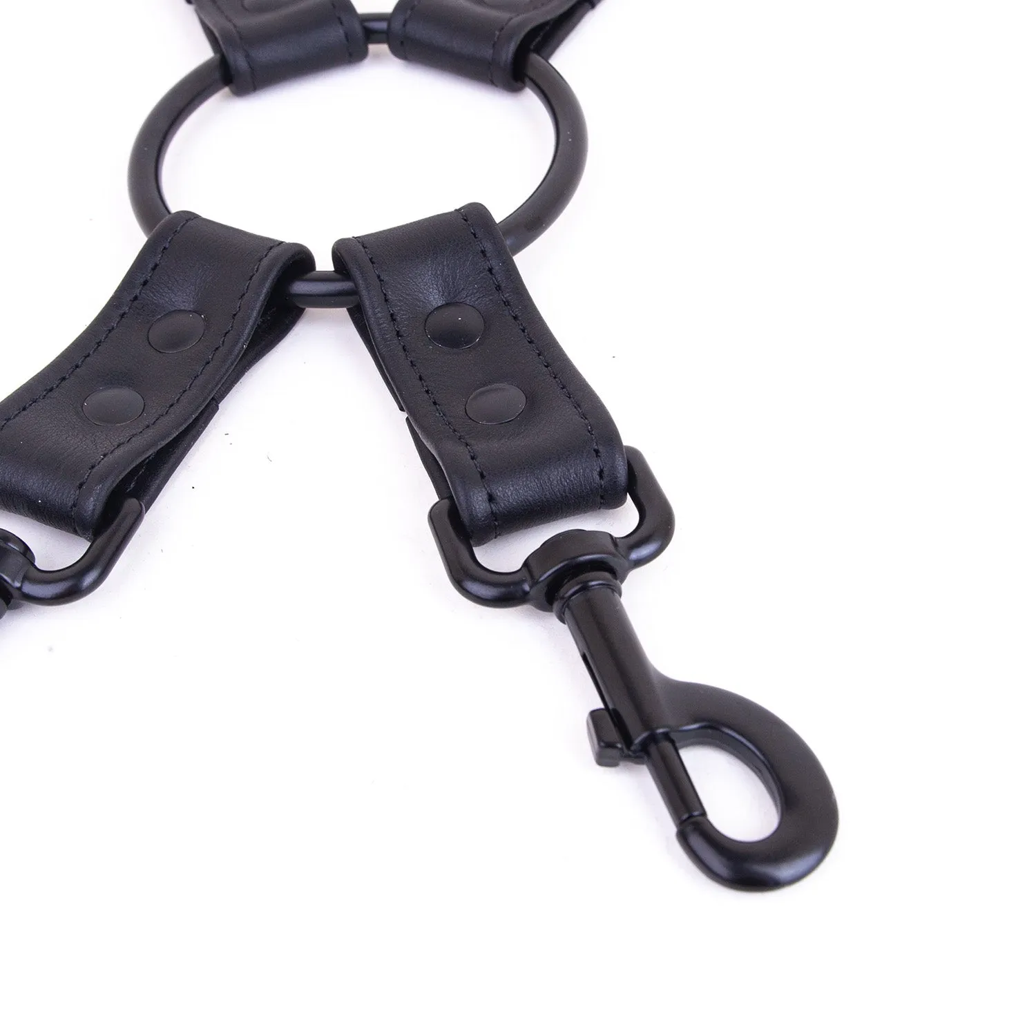 Leather Hog-tie Restraint Strap & Clips